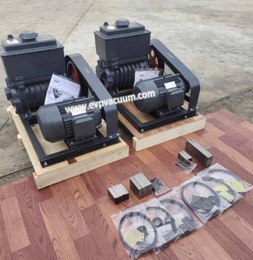 Two Stage Rotary Vane Piston Pump