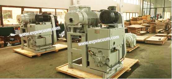 Roots-piston Vacuum Pump System