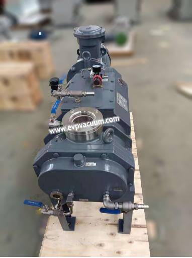 dry screw vacuum pump