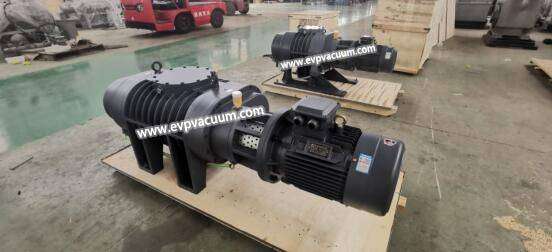 roots vacuum pump