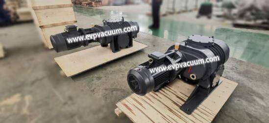 Roots vacuum pump