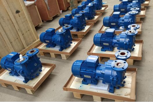 Water Ring Vacuum Pumps Used In Vacuum drying of vegetable and fruit