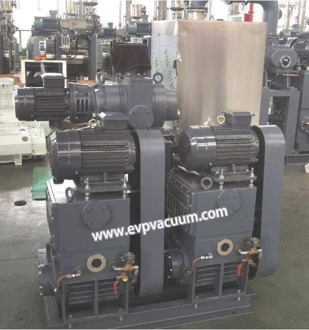 Roots - Piston Vacuum Pump Package Used In Fruit freeze dryer