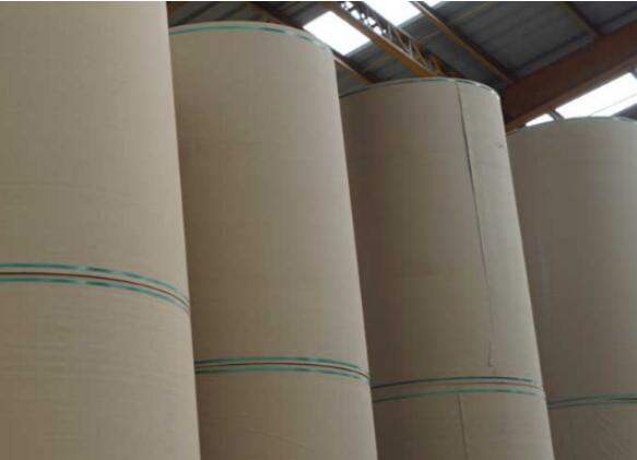 production processes is from biomass waste to packaging paper