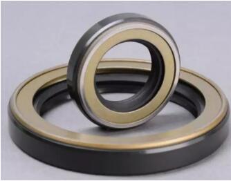 Oil Seal