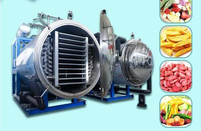 Vacuum Freeze Dryer of Application