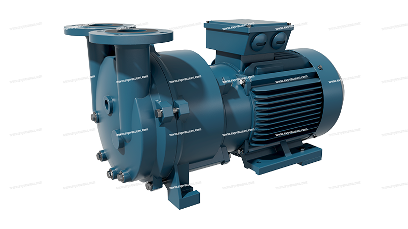 2bv Pump head