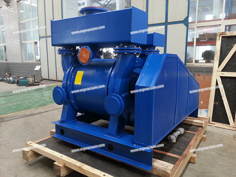 Liquid ring vacuum pump
