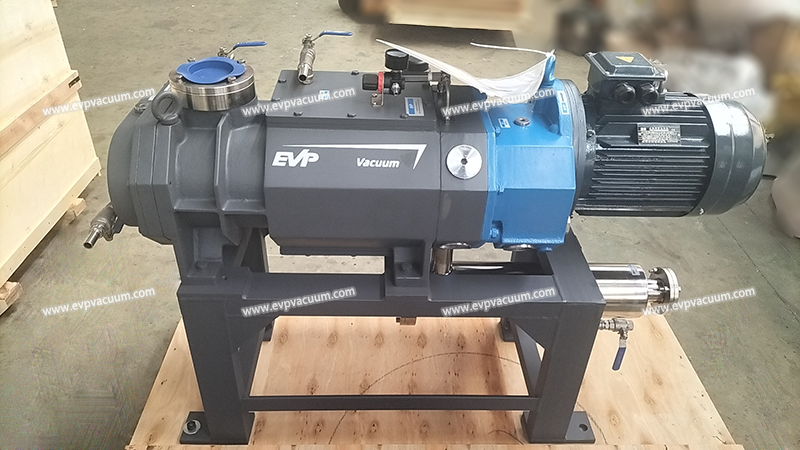 Dry screw vacuum pump