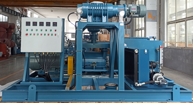 Liquid ring vacuum pump: The core pumping unit Liquid ring vacuum pump: The core pumping unit