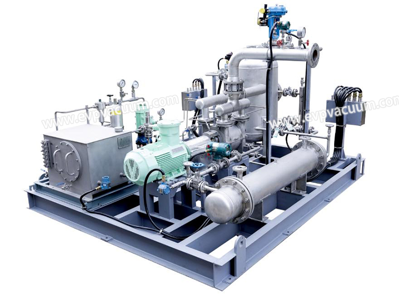 Liquid-Ring Vacuum Pumps