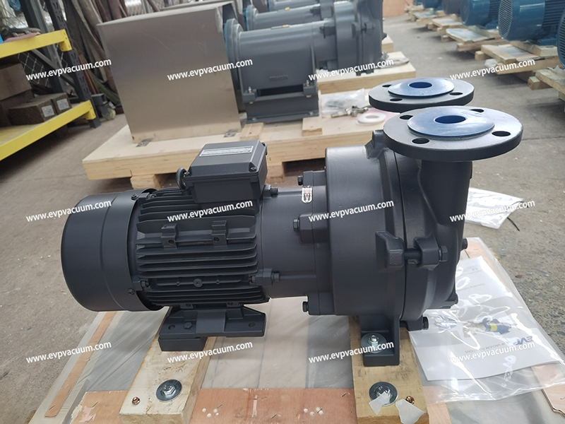 EVP 2BV Series Liquid Ring Vacuum Pumps: Highlights in the Hydrogen Manufacturing Industry EVP 2BV Series Liquid Ring Vacuum Pumps: Highlights in the Hydrogen Manufacturing Industry