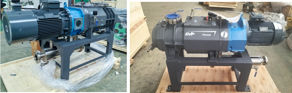 EVP screw pump