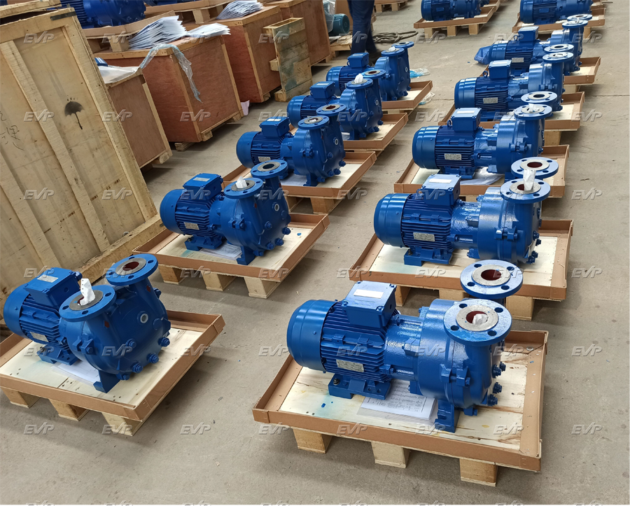 Application of Liquid Ring Vacuum Pumps in Vacuum Priming Systems Application of Liquid Ring Vacuum Pumps in Vacuum Priming Systems